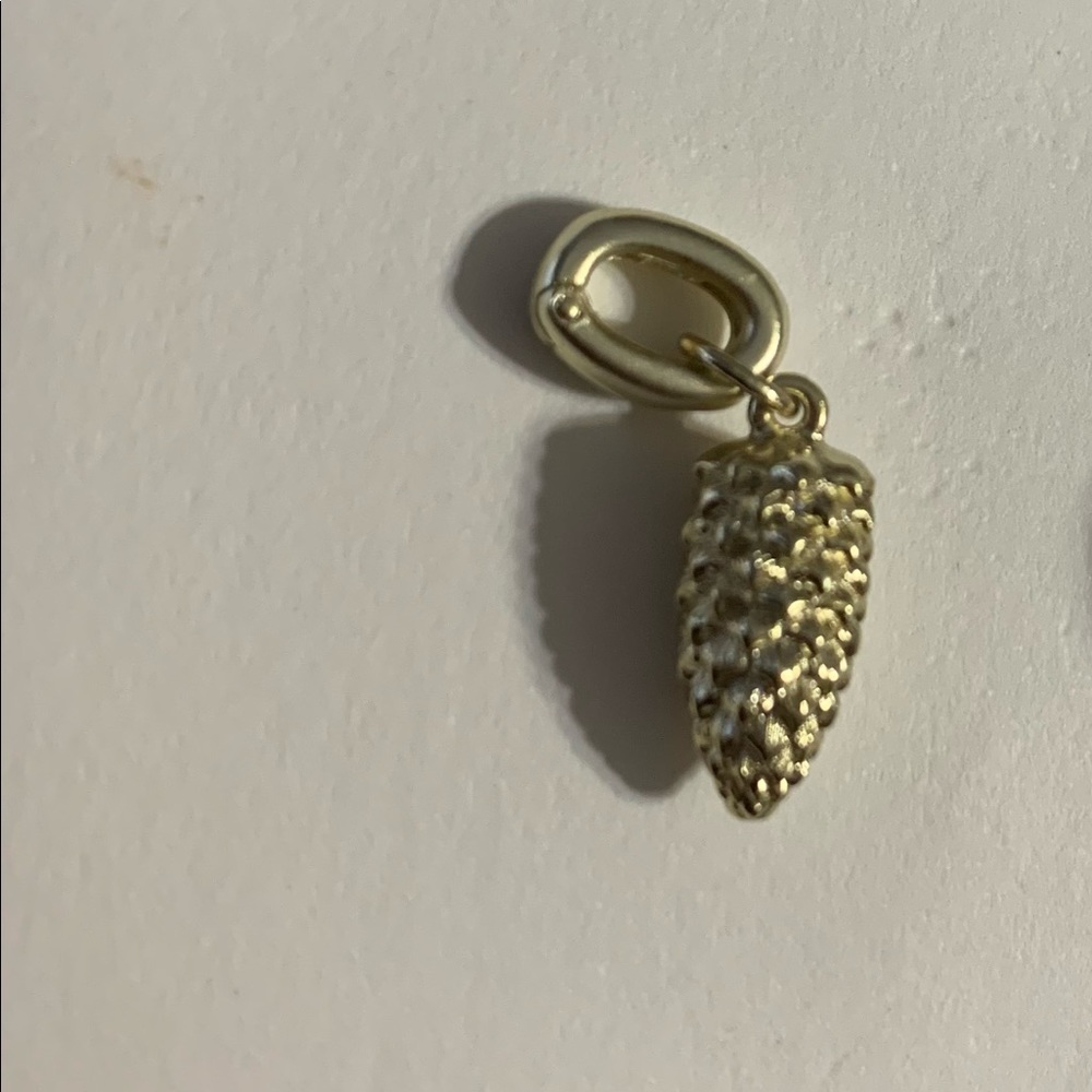 🐘🐘💓 Oregon Pinecone Charm in Gold - Picture 3 of 4